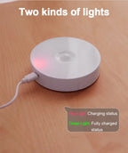 motion sensor light