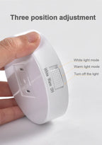 motion sensor light