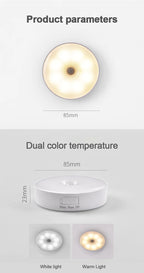 motion sensor light